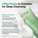 فوم شستشوی پاک کننده عمیق منافذ آنوا هارتلیف +( BHA)  Anua Heartleaf Quercetinol™ Pore Deep Cleansing Foam - Image 3