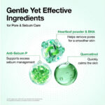 فوم شستشوی پاک کننده عمیق منافذ آنوا هارتلیف +( BHA)  Anua Heartleaf Quercetinol™ Pore Deep Cleansing Foam - Image 4